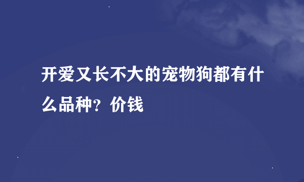 开爱又长不大的宠物狗都有什么品种？价钱