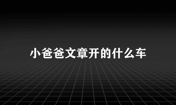 小爸爸文章开的什么车