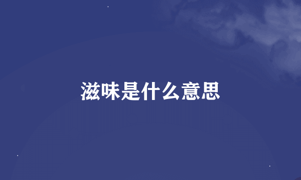 滋味是什么意思