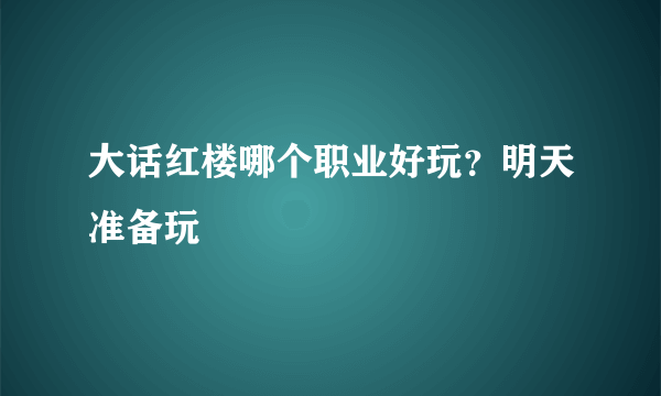 大话红楼哪个职业好玩？明天准备玩