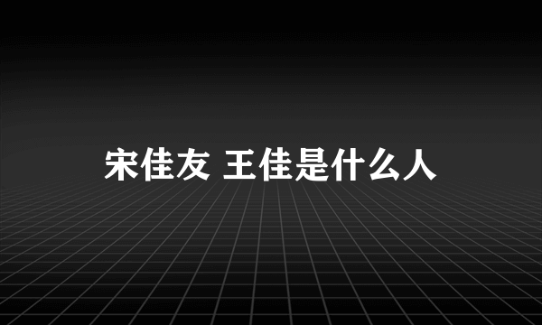 宋佳友 王佳是什么人