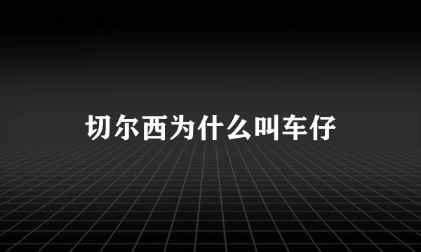 切尔西为什么叫车仔