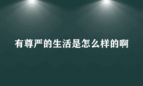 有尊严的生活是怎么样的啊