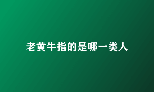 老黄牛指的是哪一类人