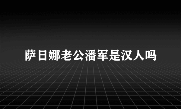 萨日娜老公潘军是汉人吗