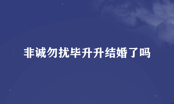 非诚勿扰毕升升结婚了吗