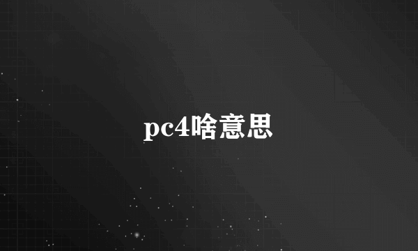 pc4啥意思