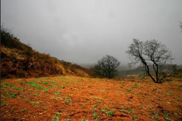 荒山野岭是啥意思