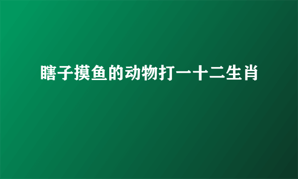 瞎子摸鱼的动物打一十二生肖