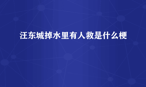 汪东城掉水里有人救是什么梗