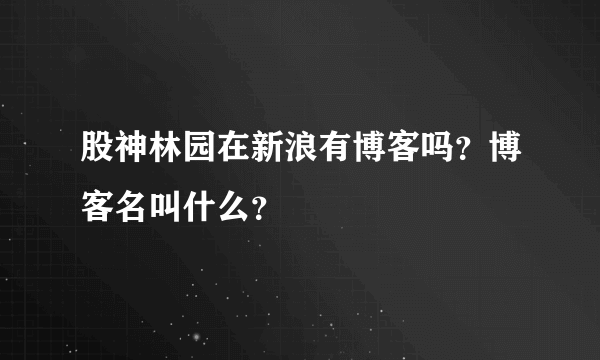 股神林园在新浪有博客吗？博客名叫什么？