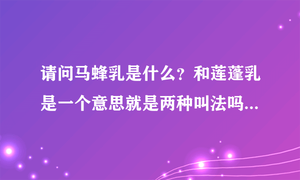 请问马蜂乳是什么？和莲蓬乳是一个意思就是两种叫法吗？求助万能的网友答疑解惑。如果是粘贴百度词条马蜂