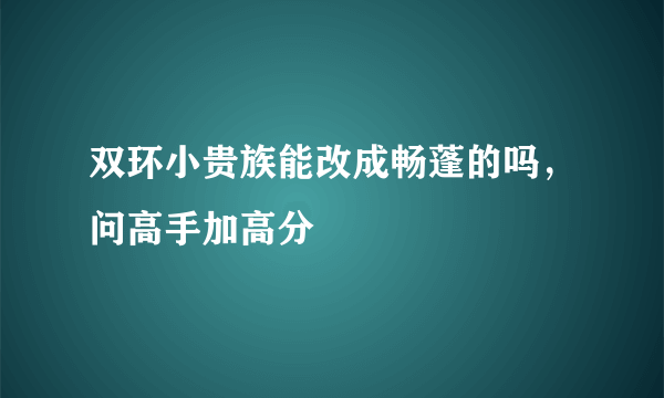 双环小贵族能改成畅蓬的吗，问高手加高分