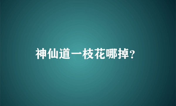 神仙道一枝花哪掉？