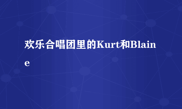 欢乐合唱团里的Kurt和Blaine