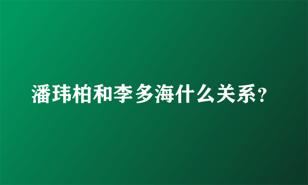 潘玮柏和李多海什么关系？