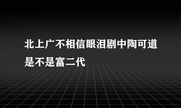 北上广不相信眼泪剧中陶可道是不是富二代