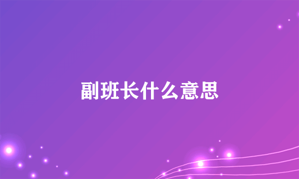 副班长什么意思