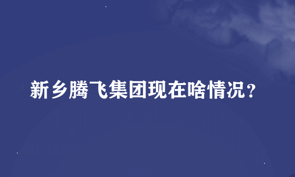 新乡腾飞集团现在啥情况？