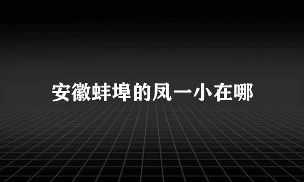 安徽蚌埠的凤一小在哪