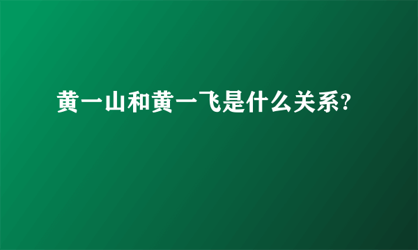 黄一山和黄一飞是什么关系?