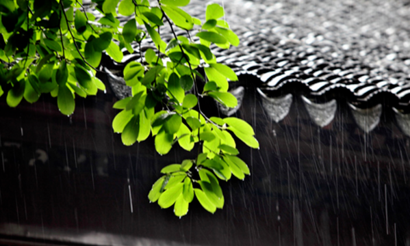 江南梅雨季节是什么时候?