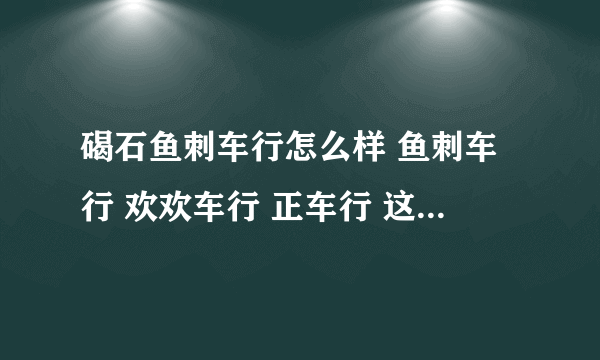 碣石鱼刺车行怎么样 鱼刺车行 欢欢车行 正车行 这些都是骗子 大家小心啊