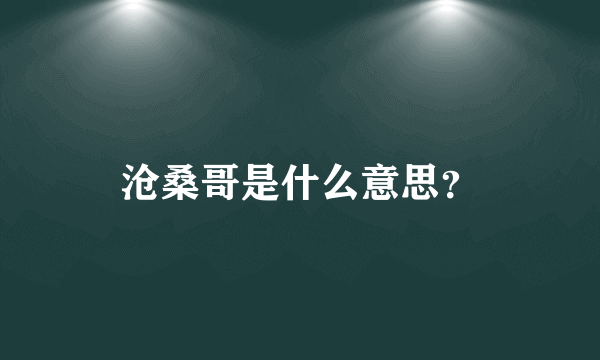 沧桑哥是什么意思？