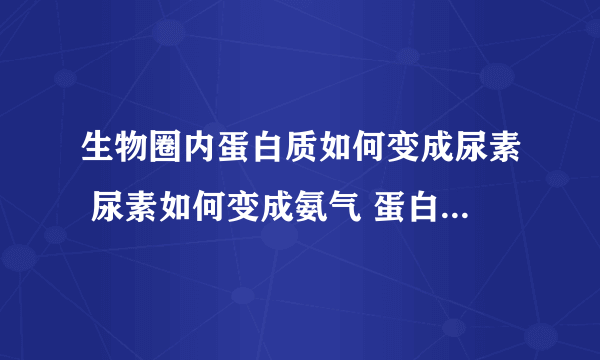 生物圈内蛋白质如何变成尿素 尿素如何变成氨气 蛋白质如何变成氨气 硝酸根如何变成蛋白质 硝酸根变成氮气