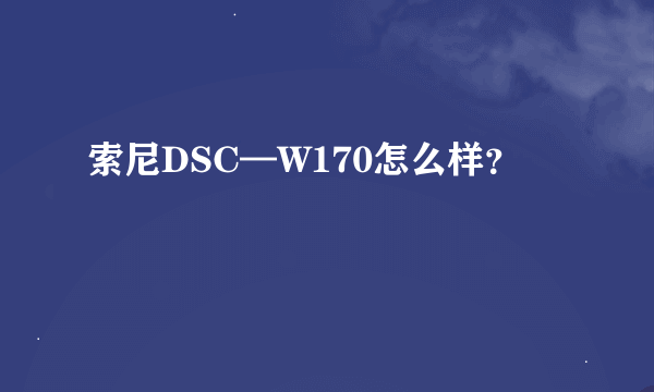 索尼DSC—W170怎么样？