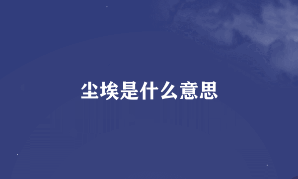 尘埃是什么意思