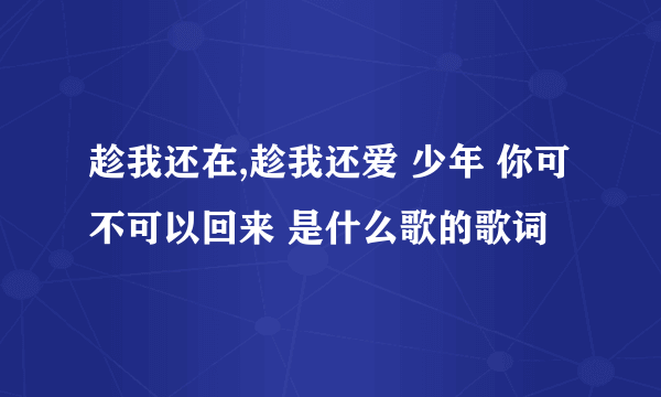 趁我还在,趁我还爱 少年 你可不可以回来 是什么歌的歌词