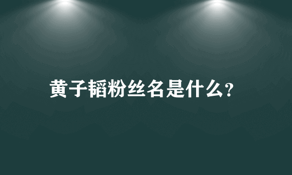 黄子韬粉丝名是什么？