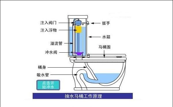 马桶堵一般堵在哪里?求图