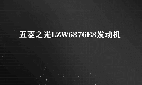 五菱之光LZW6376E3发动机