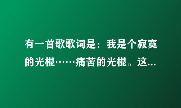 有一首歌歌词是：我是个寂寞的光棍……痛苦的光棍。这首歌是什么？