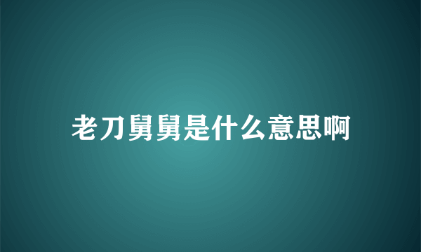 老刀舅舅是什么意思啊