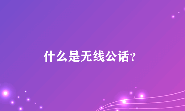 什么是无线公话？