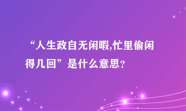 “人生政自无闲暇,忙里偷闲得几回”是什么意思？