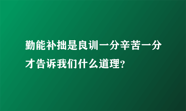 勤能补拙是良训一分辛苦一分才告诉我们什么道理？