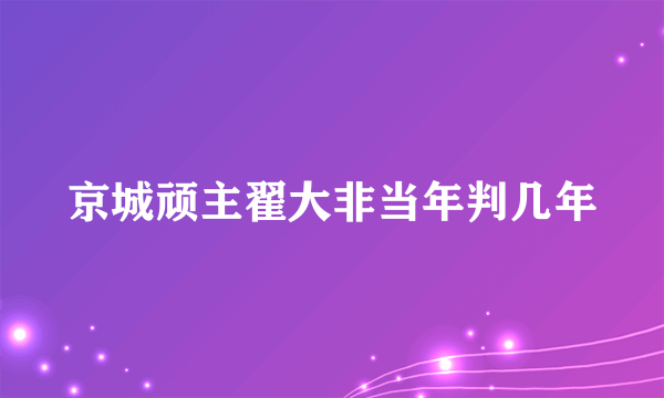 京城顽主翟大非当年判几年