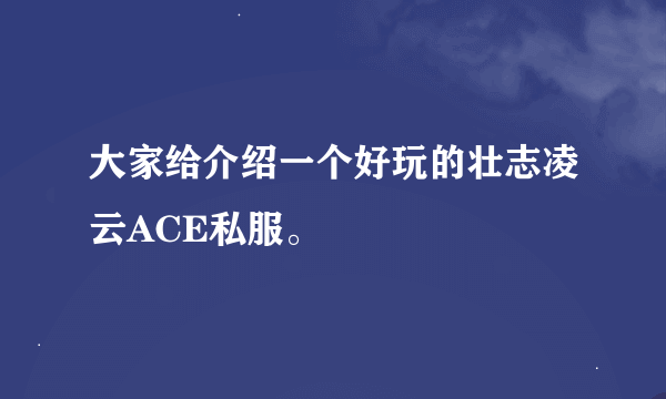 大家给介绍一个好玩的壮志凌云ACE私服。