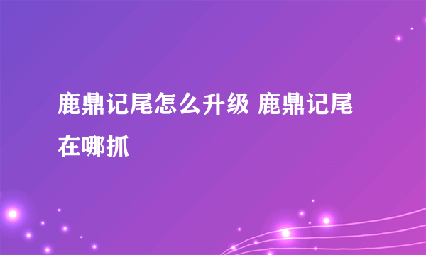 鹿鼎记尾怎么升级 鹿鼎记尾在哪抓