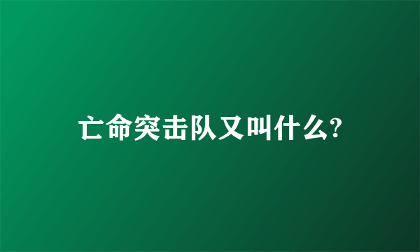 亡命突击队又叫什么?