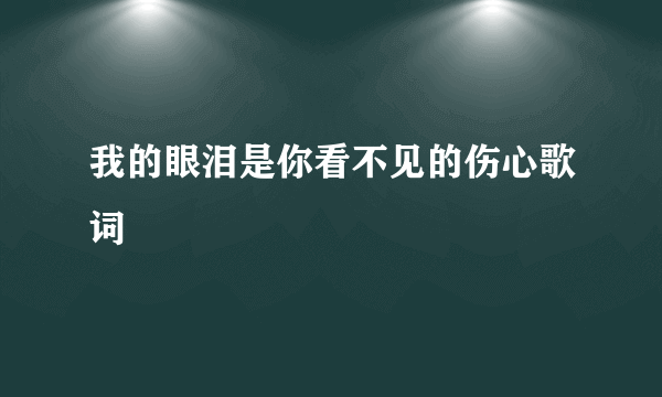 我的眼泪是你看不见的伤心歌词