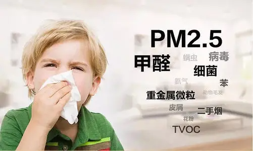 pm2.5标准多少正常?