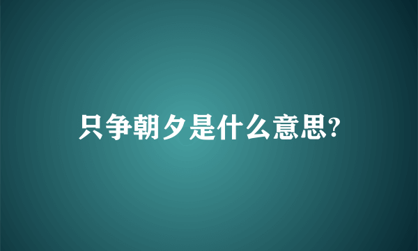 只争朝夕是什么意思?