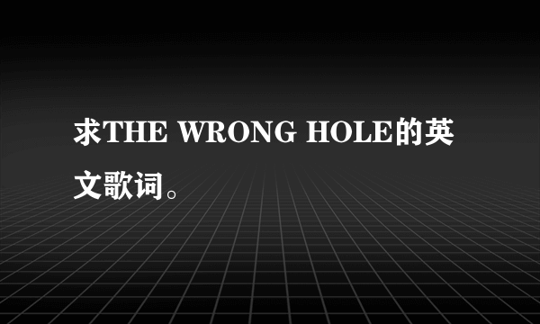 求THE WRONG HOLE的英文歌词。