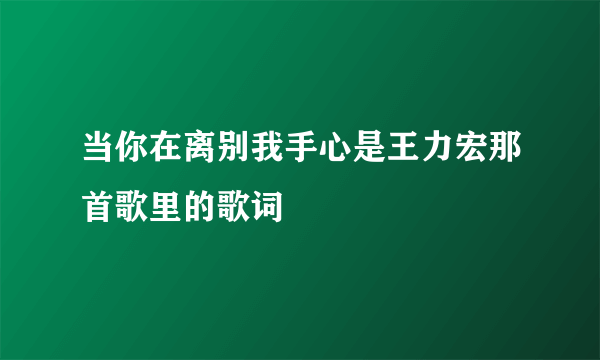 当你在离别我手心是王力宏那首歌里的歌词