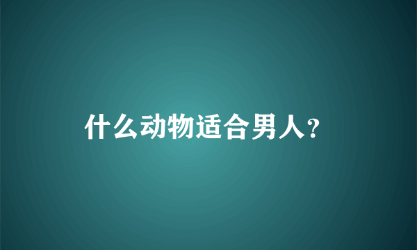 什么动物适合男人？